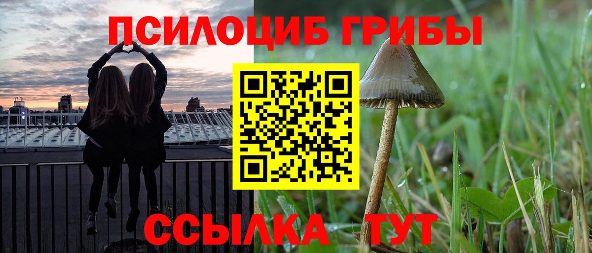 Псилоцибиновые грибы мухоморы Петрозаводск