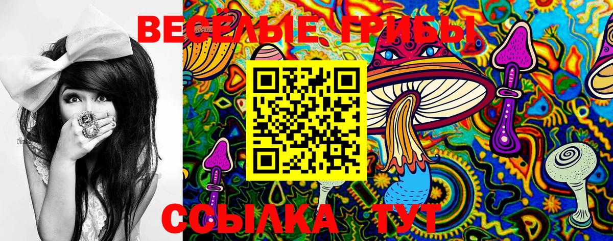 Петрозаводск  Галлюциногенные грибы мухоморы  Галлюциногенные грибы Cubensis  наркота  Вход с VPN 